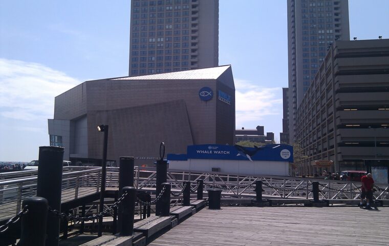 New England Aquarium