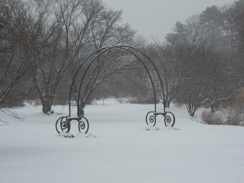 Arnold Arboretum of Harvard University