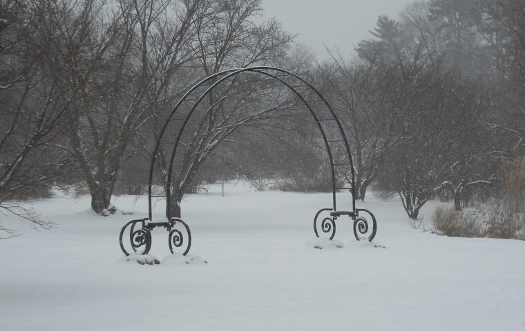 Arnold Arboretum of Harvard University