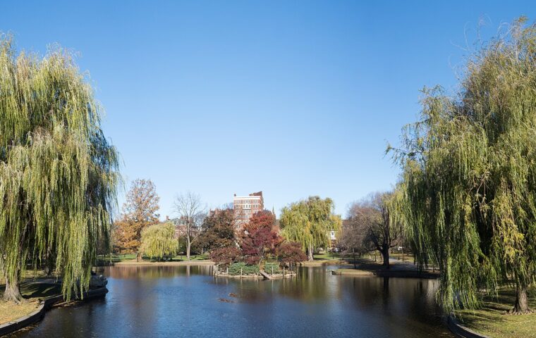 Boston Public Garden