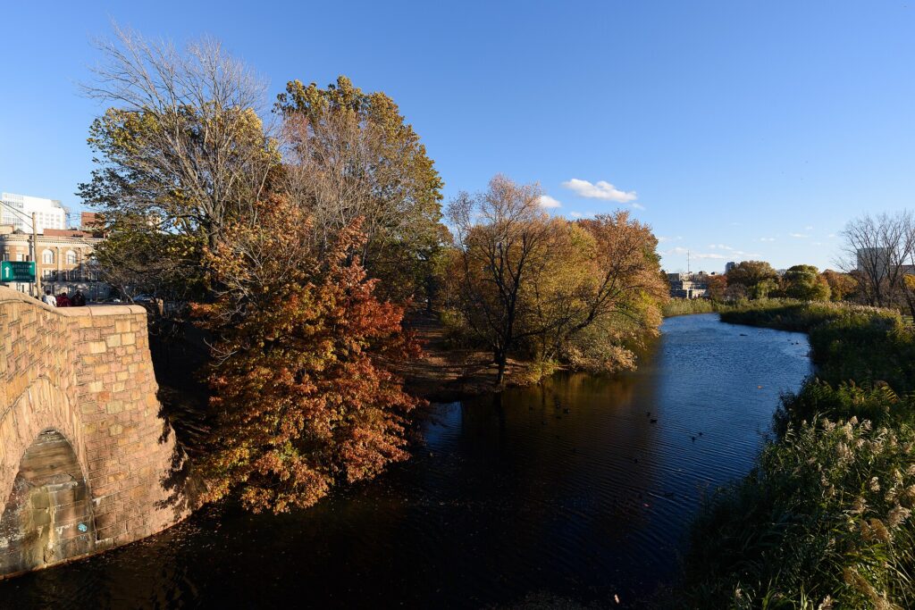 Walk the Muddy River: Boston’s Most Underrated Green Corridor, from the Fens to Jamaica Plain