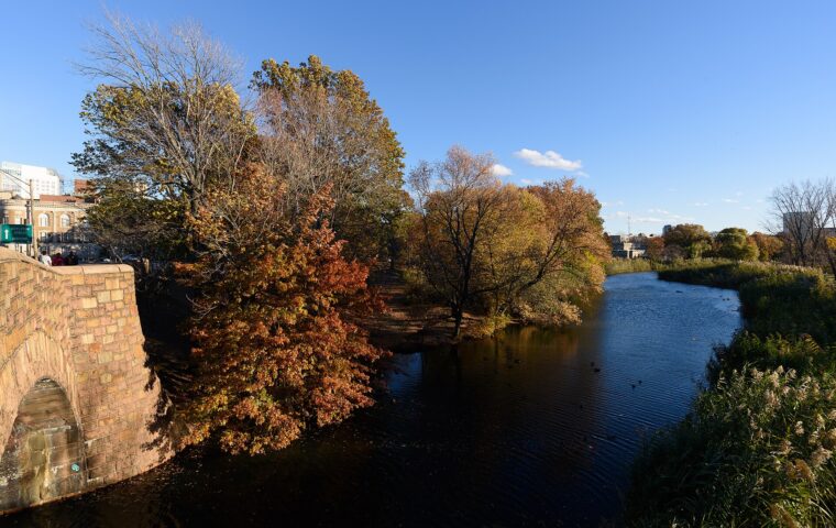 Back Bay Fens