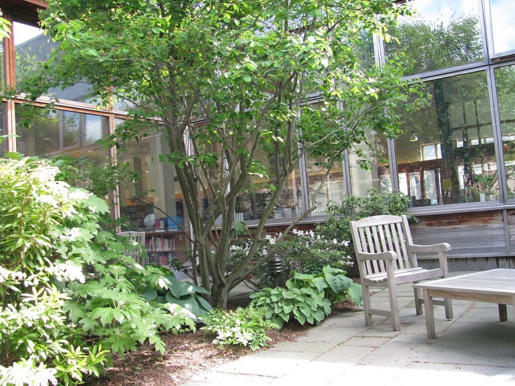 Courtyard at Honan-Allston Library