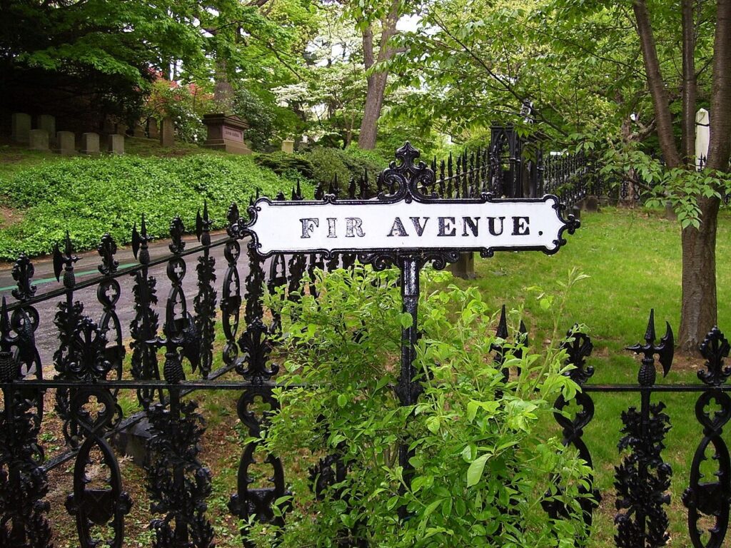 My 2008 photo of the Fir Avenue sign at Mount Auburn Cemetery in Cambridge, MA.