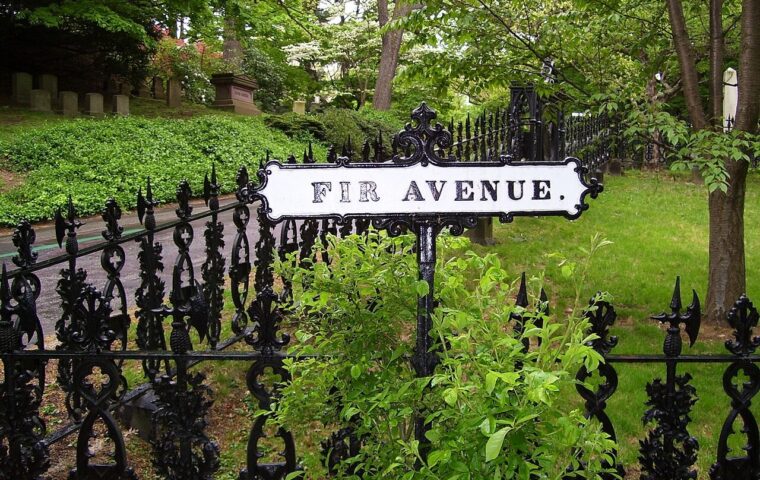 Mount Auburn Cemetery